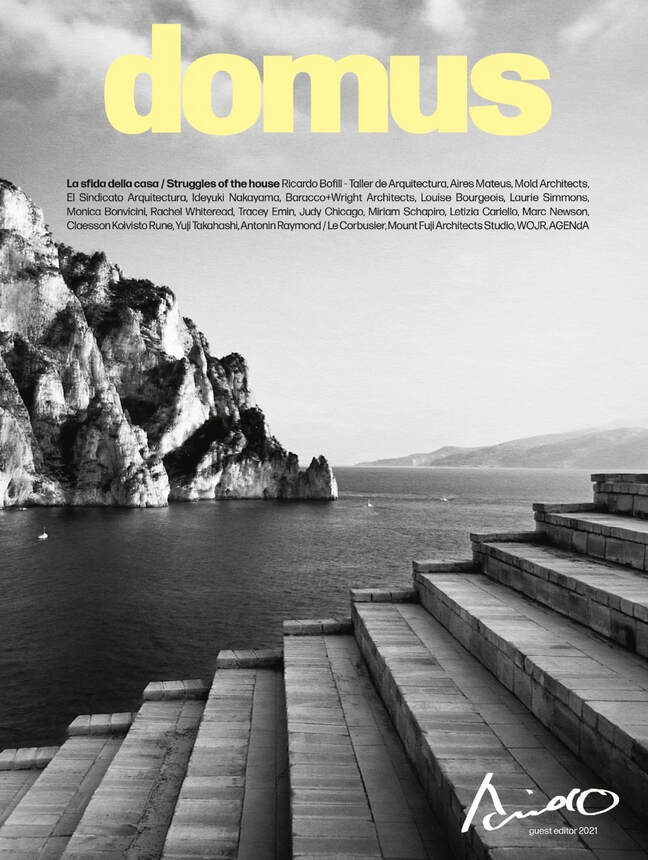 Domus Magazine