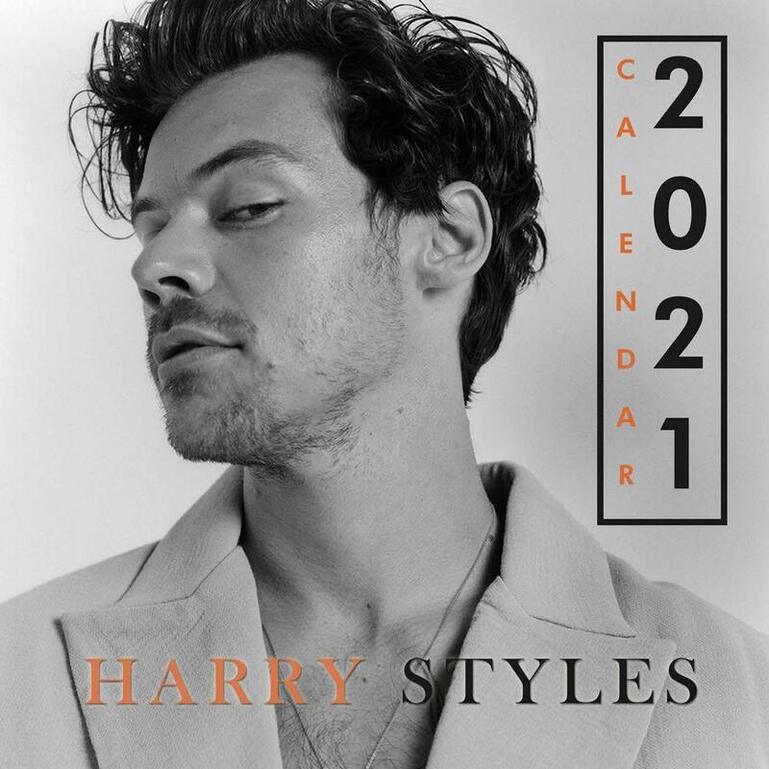 Harry Styles 2021-2022 wall calendar - Grayscale cover